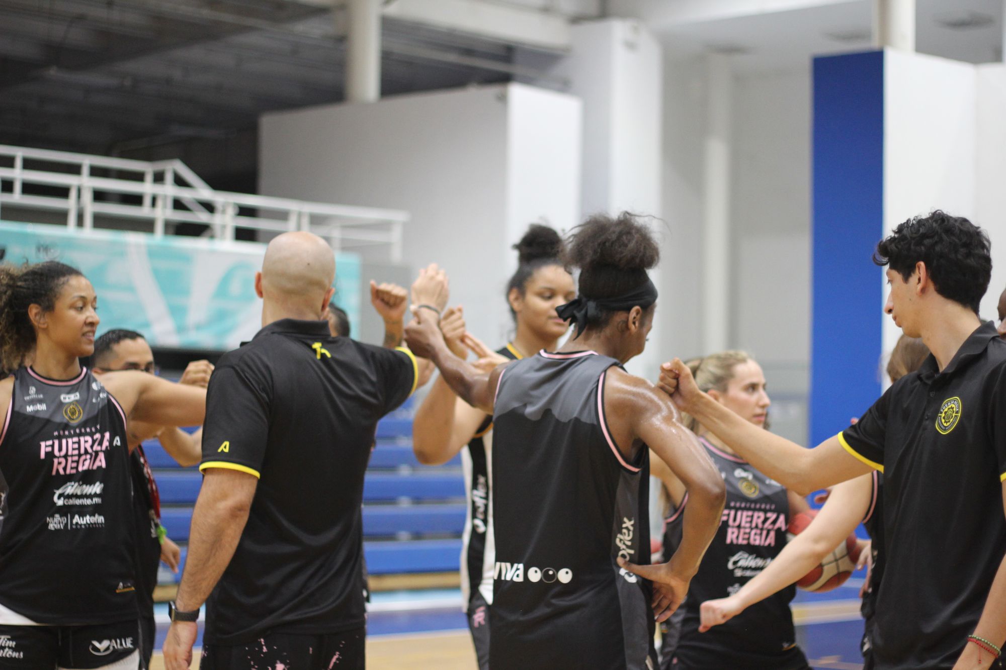 LA PREVIA: FUERZA REGIA FEMENIL VISITA A LAS ABEJAS