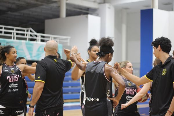 LA PREVIA: FUERZA REGIA FEMENIL VISITA A LAS ABEJAS